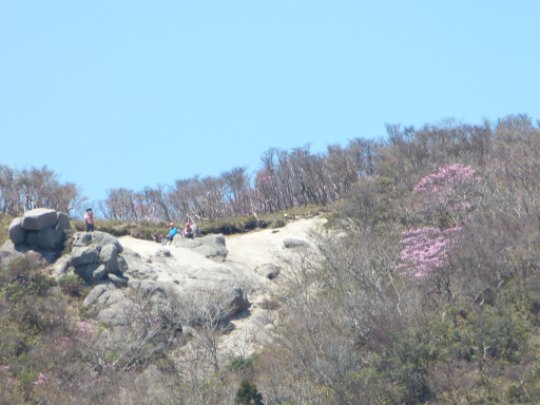 画像62